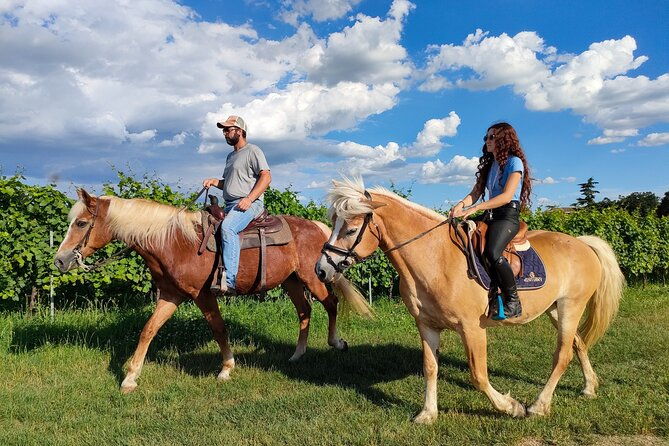 horseback-riding-with-wine-and-food-tasting-in-lazise-countryside