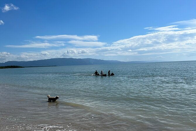 horseback-special-negrils-beach-ride-n-swim-with-free-photos-videos