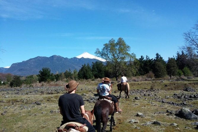 horseback-trailride-excursion