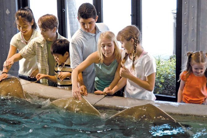 houston-city-tour-and-downtown-aquarium-all-rides-pass-2