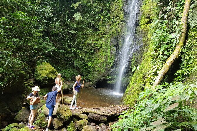 howler-monkey-tour-filandia-views-and-gastronomy
