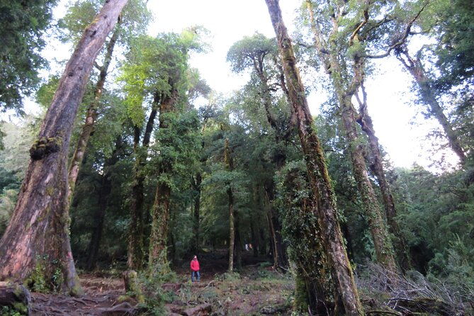 huerquehue-trekking