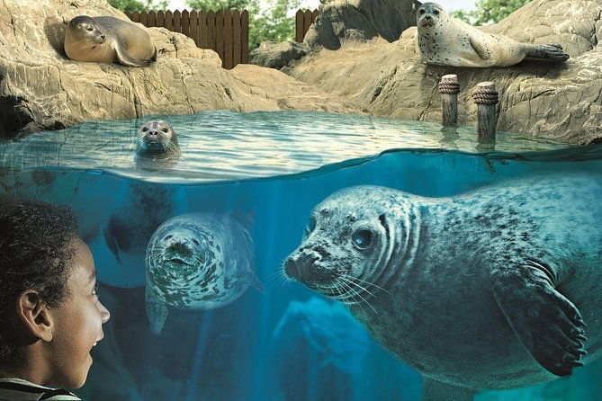 hunstanton-sea-life-sanctuary-general-admission-ticket