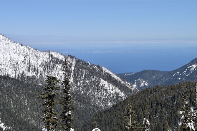 hurricane-ridge-guided-snowshoe-tour-in-olympic-national-park-2