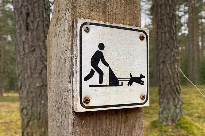 husky-dog-sled-bike-kart-ride-in-latvia-3h-group-tour-from-riga