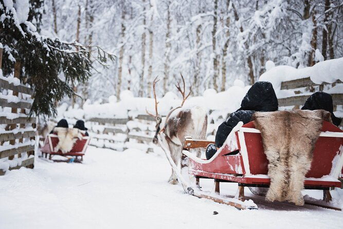 husky-reindeer-farm-and-santa-village-experience