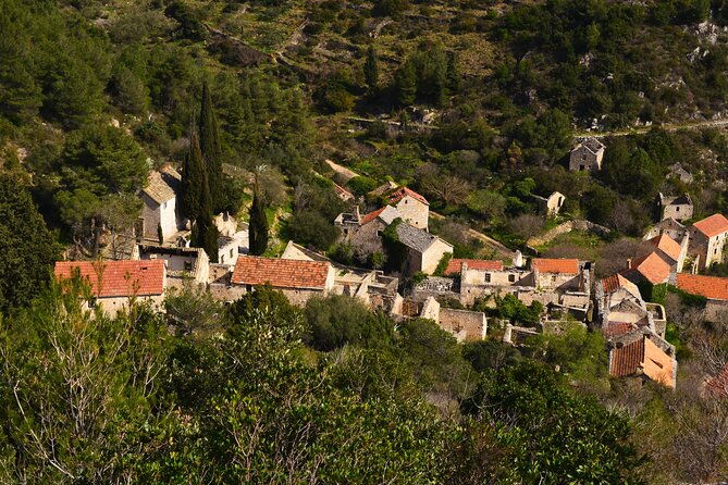 hvar-lavender-tour-2