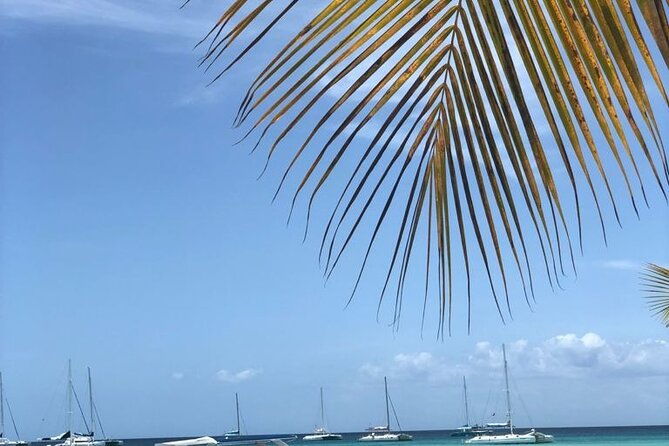 iberostar-grand-bavaro-round-trip-shuttle-punta-cana-airport