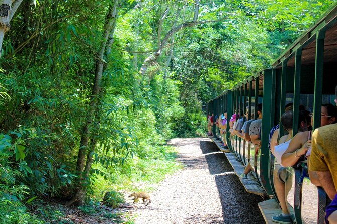 iguazu-falls-argentinian-side-with-boat-ride-jungle-truck-and-train