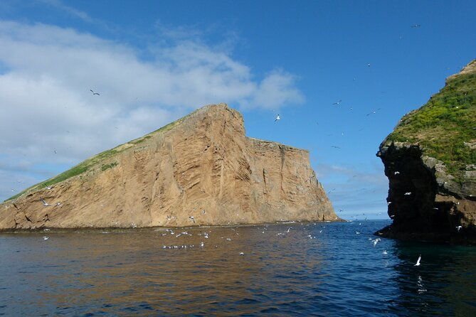 ilheus-das-cabras-in-terceira-island