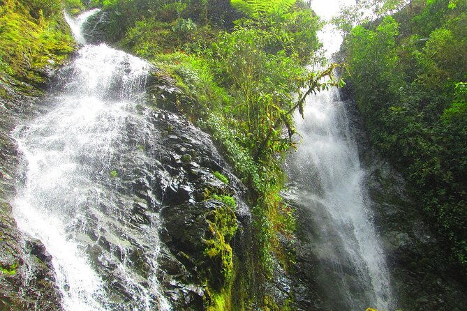 indigenus-shuar-comunity-and-cloud-forest-bucay-private-day-tour-from-guayaquil