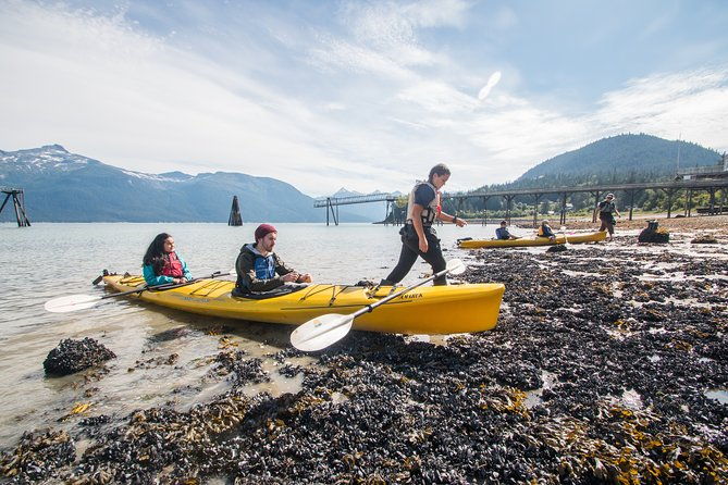 inside-passage-sea-kayaking-from-skagway
