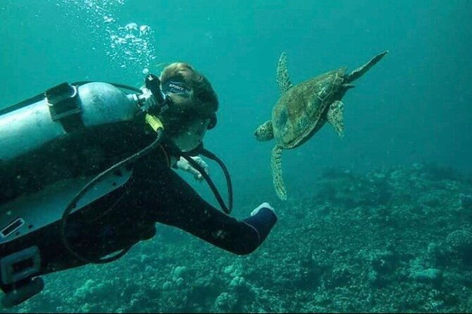 introductory-beach-scuba-dive
