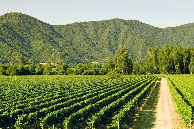 isla-negra-algarrobo-and-vina-casas-del-bosque