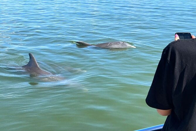 island-paradise-dolphin-shelling-birding-eco-boat-tour