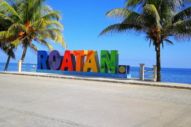 island-tour-monkeys-and-sloth-park-chocolate-rum-factory-beach
