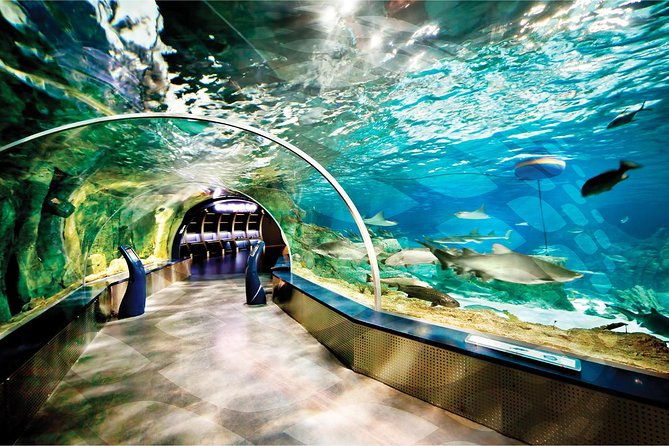 istanbul-aquarium-and-aqua-florya-independent-shopping-trip-2