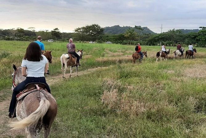 jaco-beach-horseback-riding-experience