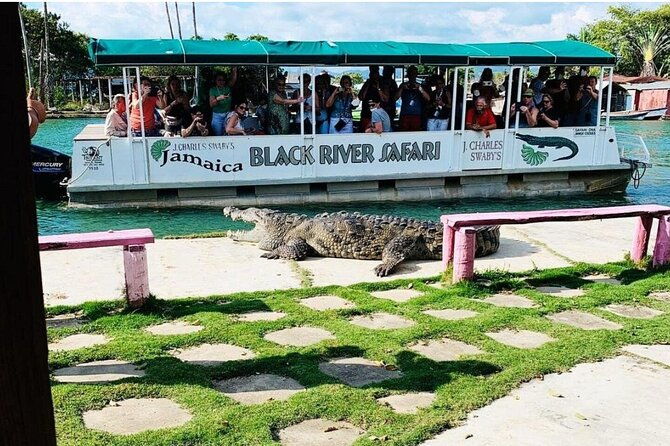 jamaica-black-river-safari-guided-tour-and-y-s-falls-daytrip