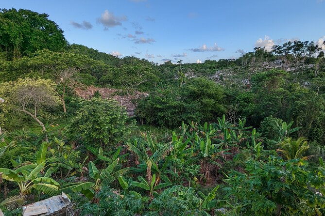 jamaican-roots-tropical-farm-tour-taste-explore-negril-2hr