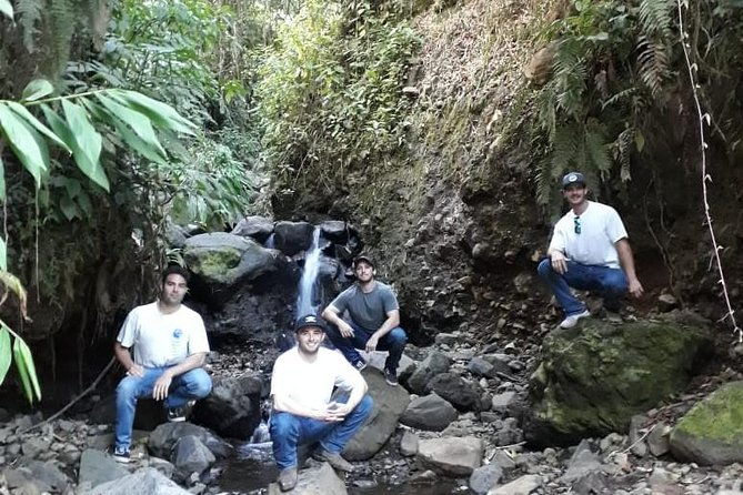 jardin-coffee-lovers-private-tour-with-waterfall-option-from-medellin