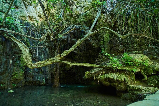 jeep-safari-akamas-from-paphos