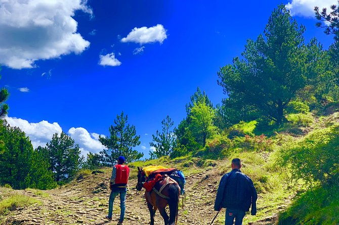 jeep-safari-berat-hiking-caravan-mule-in-tomori-holy-mount-2