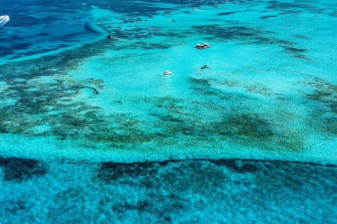 johnny-kay-and-natural-aquarium-full-day-in-the-islands