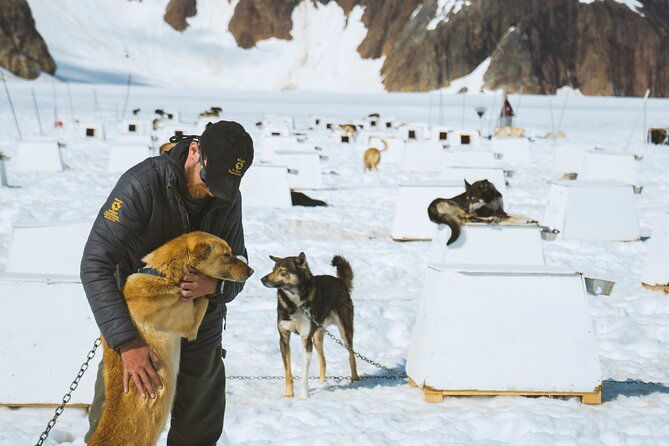 juneau-shore-excursions-helicopter-dogsledding-experience-and-additional-glacier-landing