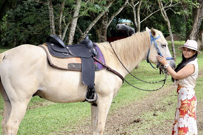jungle-horseback-cave-tube-adventure