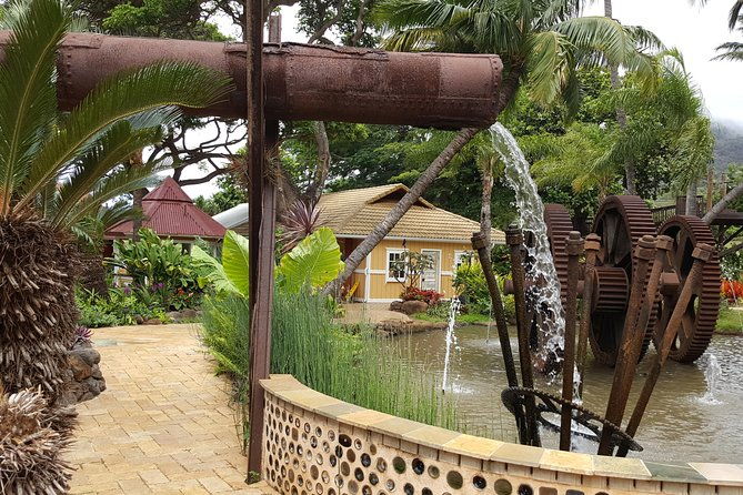 kahului-shore-excursion-private-tropics-of-maui-rainforest