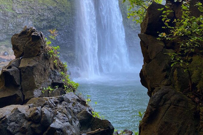 kauai-east-side-and-north-shore-private-guided-tour-2