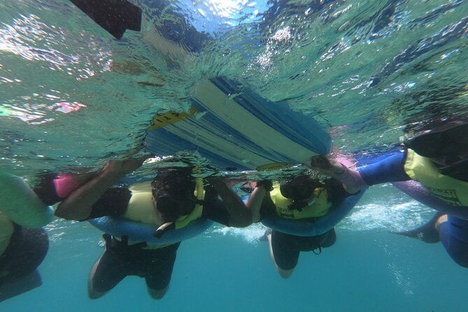 kauais-ultimate-guided-shore-snorkel-no-boat-north-anini