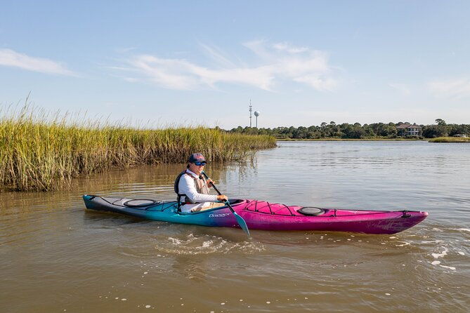 kayak-activity-and-sightseeing-in-dolphin-safari