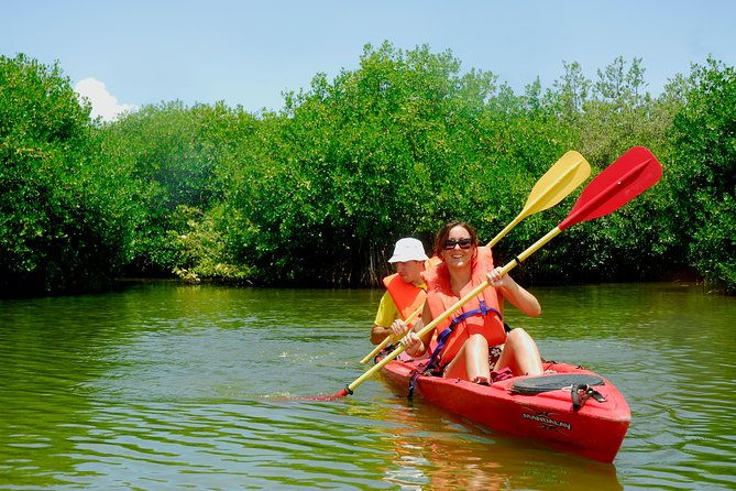 kayak-lagoon-tour