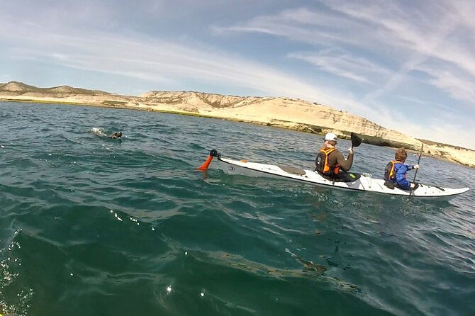 kayak-paddling-experience-with-sea-lions-in-puerto-madryn