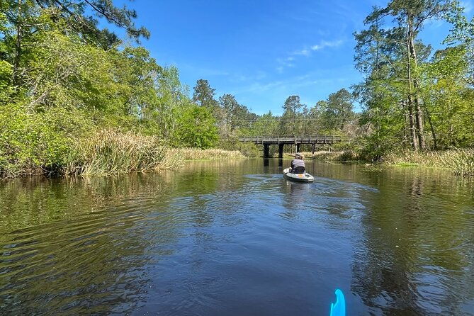 kayak-tour-of-the-honey-island-swamp-and-backwaters