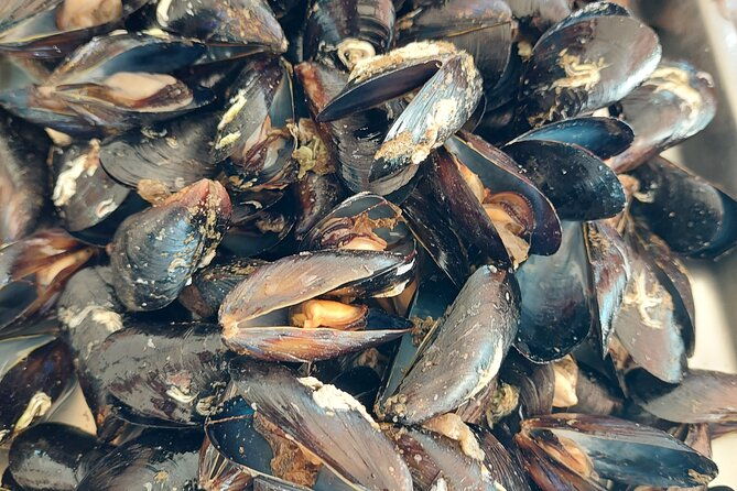 kayaking-and-mussels-tasting-at-krka-river-estuary-private-tours