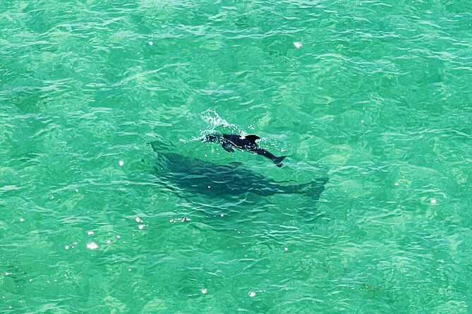 kayaking-clear-through-clearwater-2