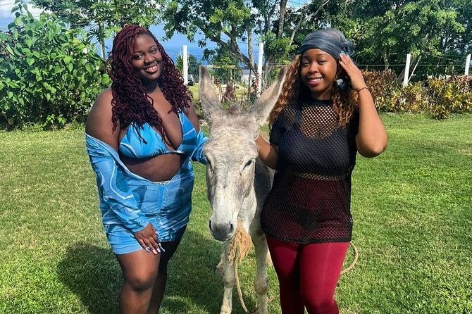 kennedys-atv-and-nature-tour-in-montego-bay