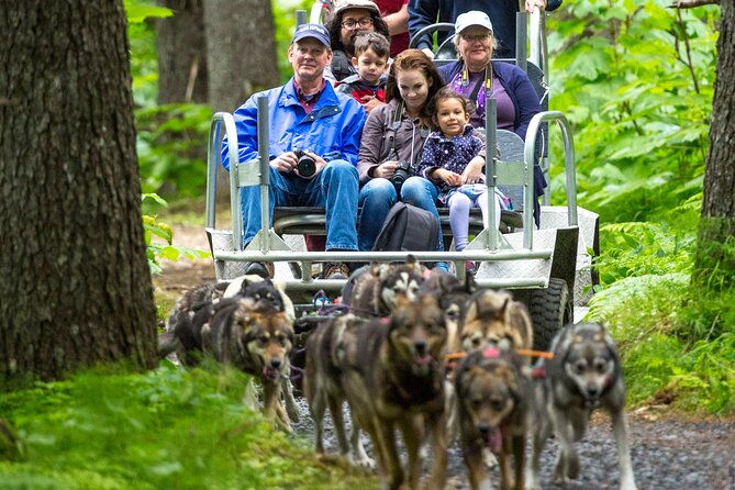 kennel-tour-and-dog-sled-ride