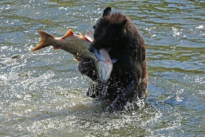 ketchikan-all-in-one
