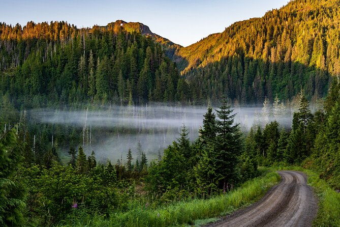 ketchikan-backcountry-driving-tour-through-the-tongass