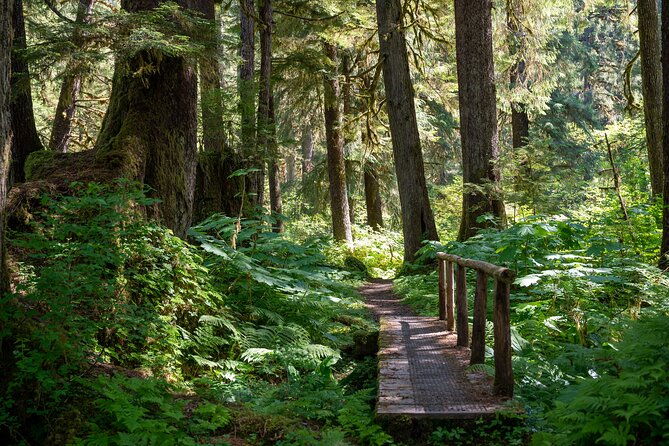 ketchikan-magical-old-growth-creek-trek-guided-tour-2