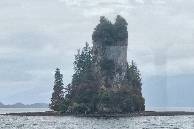 ketchikan-whale-watching-and-nature-tour