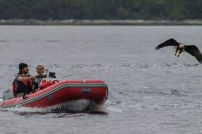 ketchikan-zodiac-adventure