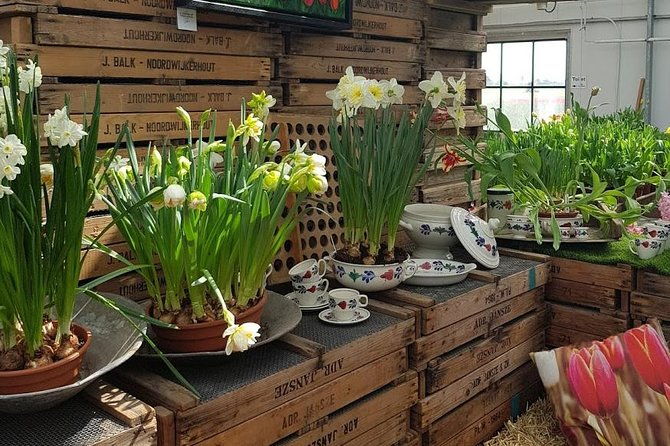 keukenhof-flowerfarm-tour-from-amsterdam-skip-the-line-tickets