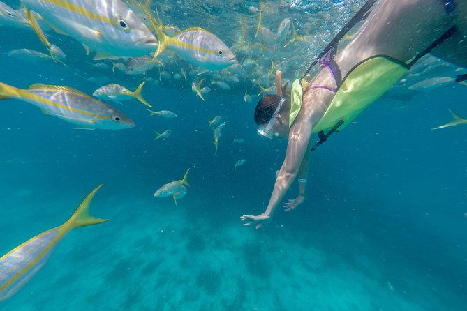 key-west-afternoon-snorkel-sail-with-unlimited-cocktails