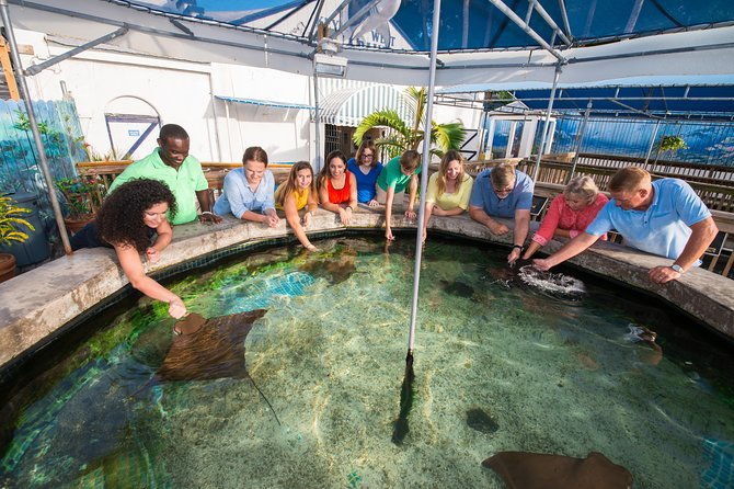key-west-aquarium-admission