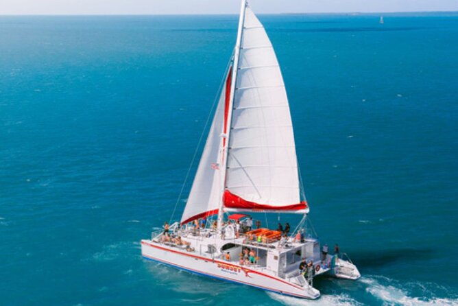 key-west-dolphin-watching-cruise-snorkeling-unlimited-beer-soda